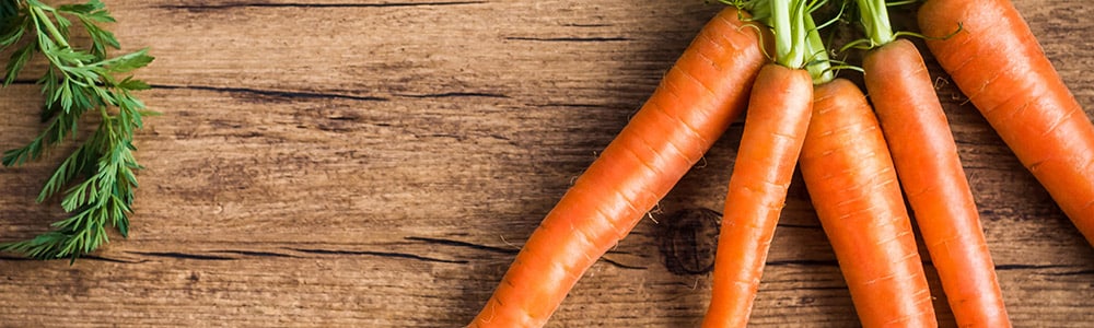 zanahoria cover wide