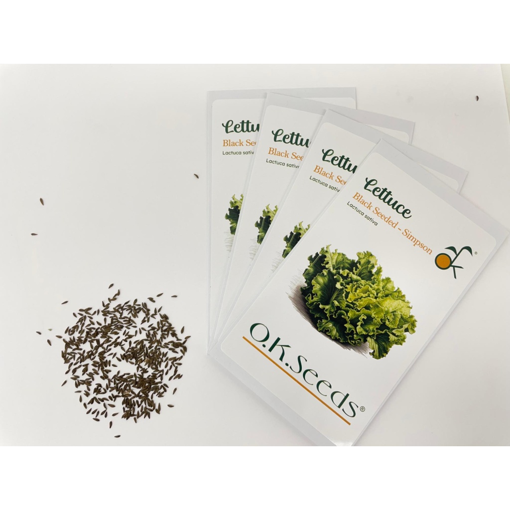 NewTHM lettuce black