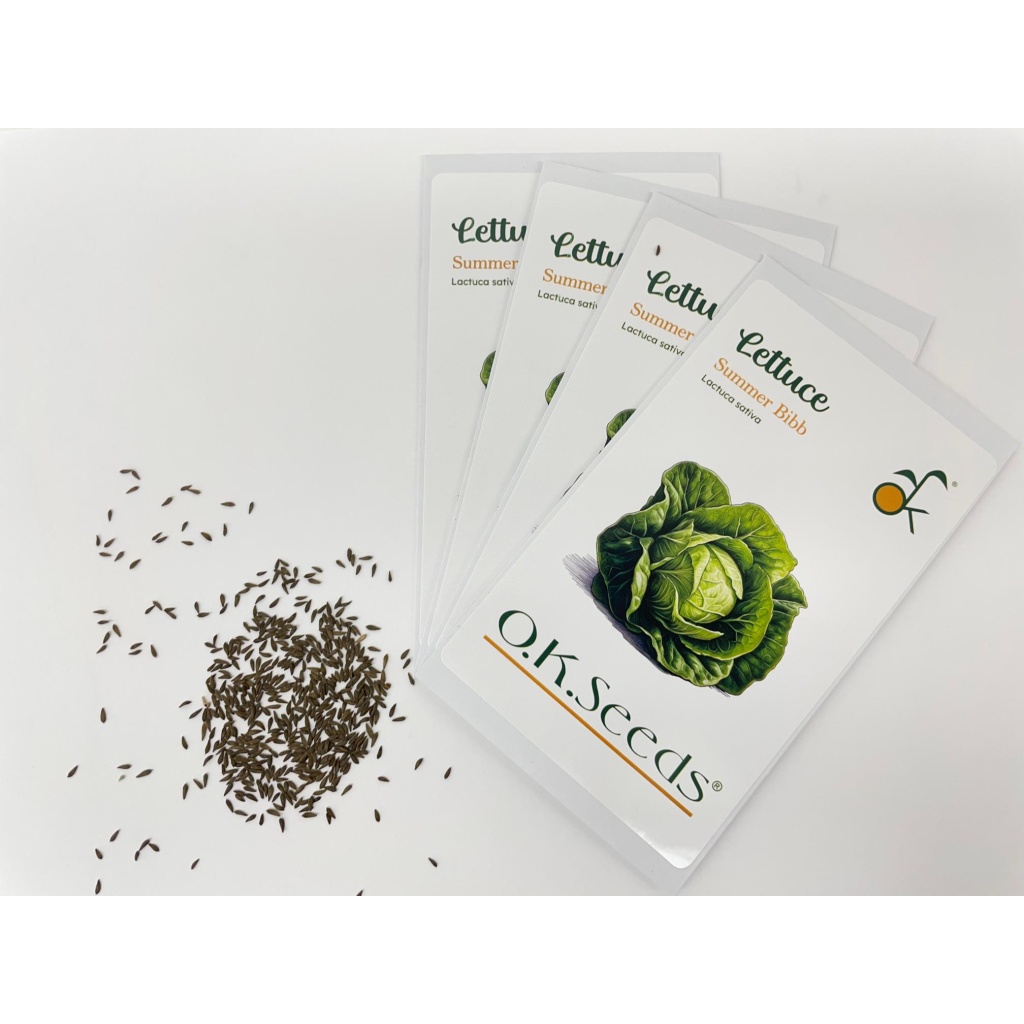 NewTHM lettuce summer