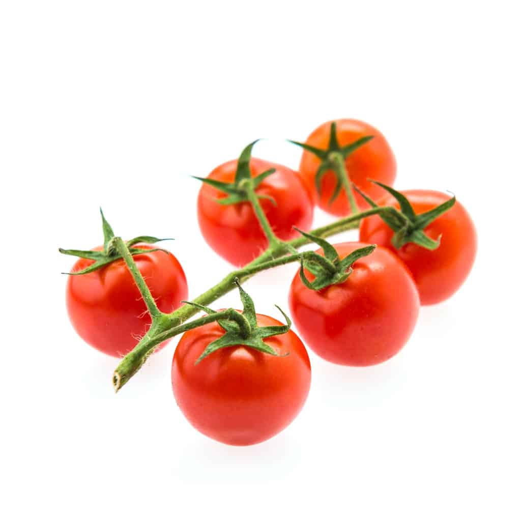 TOMATO Cherry Everglade (Solanum lycopersicum)
