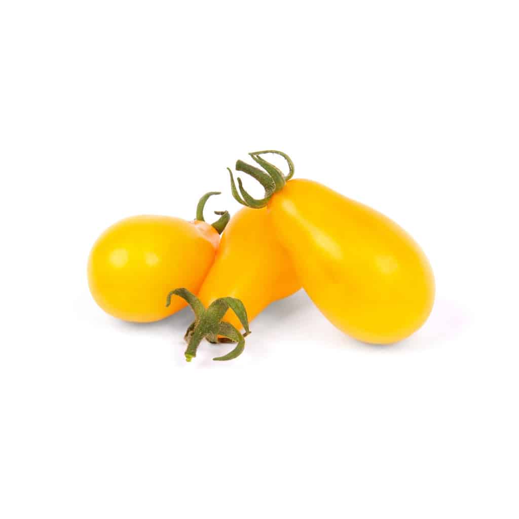 Yellow Tomato