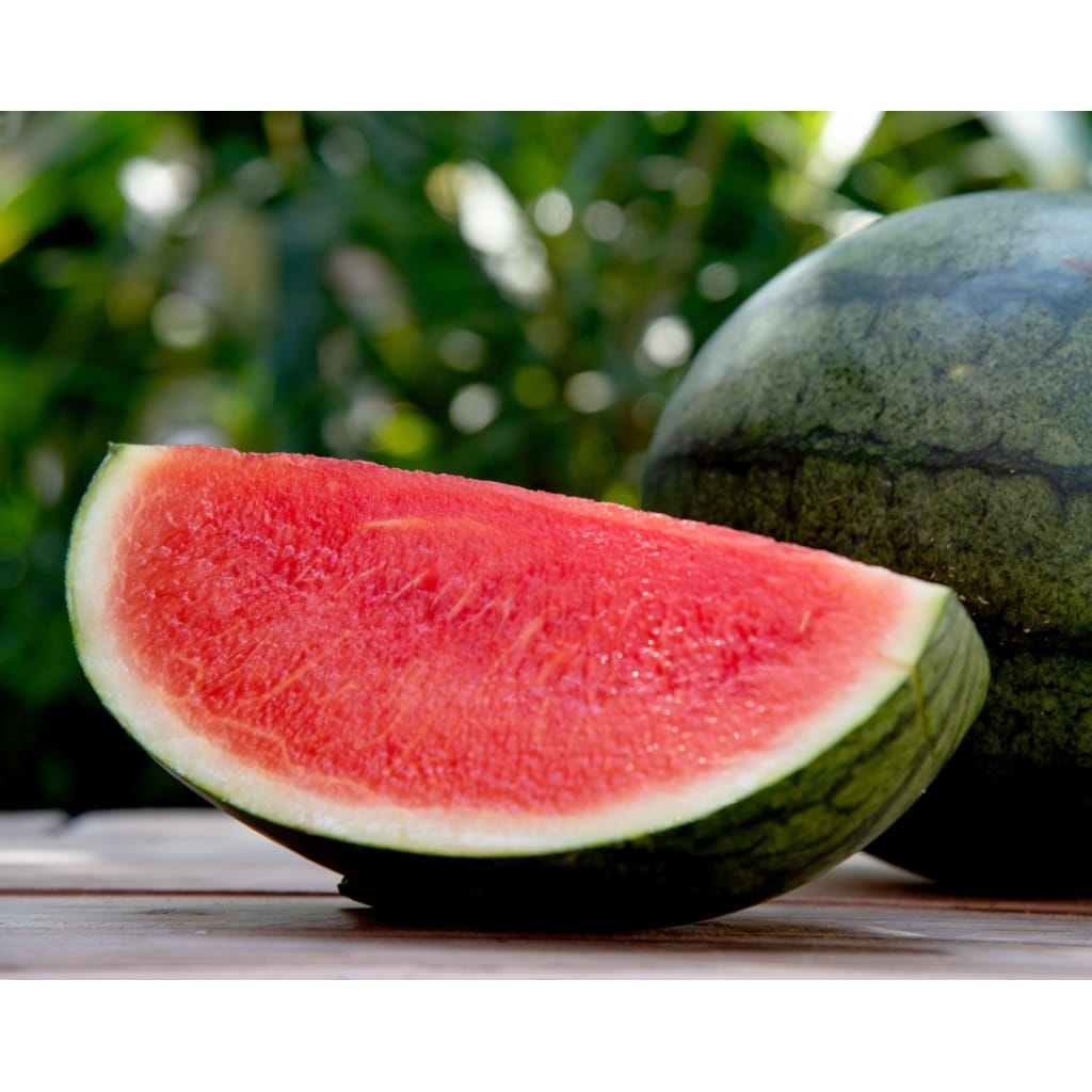 WATERMELON Sugar Baby (Citrullus lanatus)
