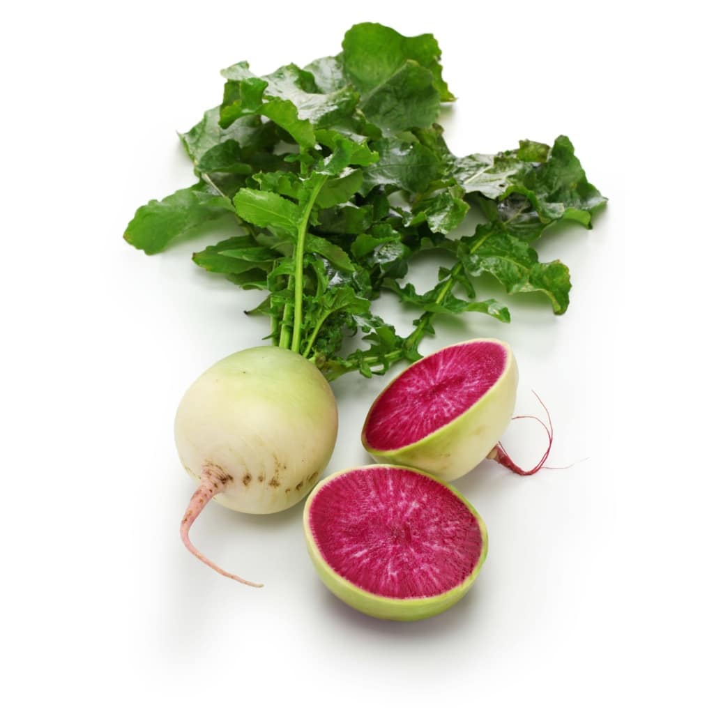 RADISH Watermelon radish/ Mantanghong Beauty Heart