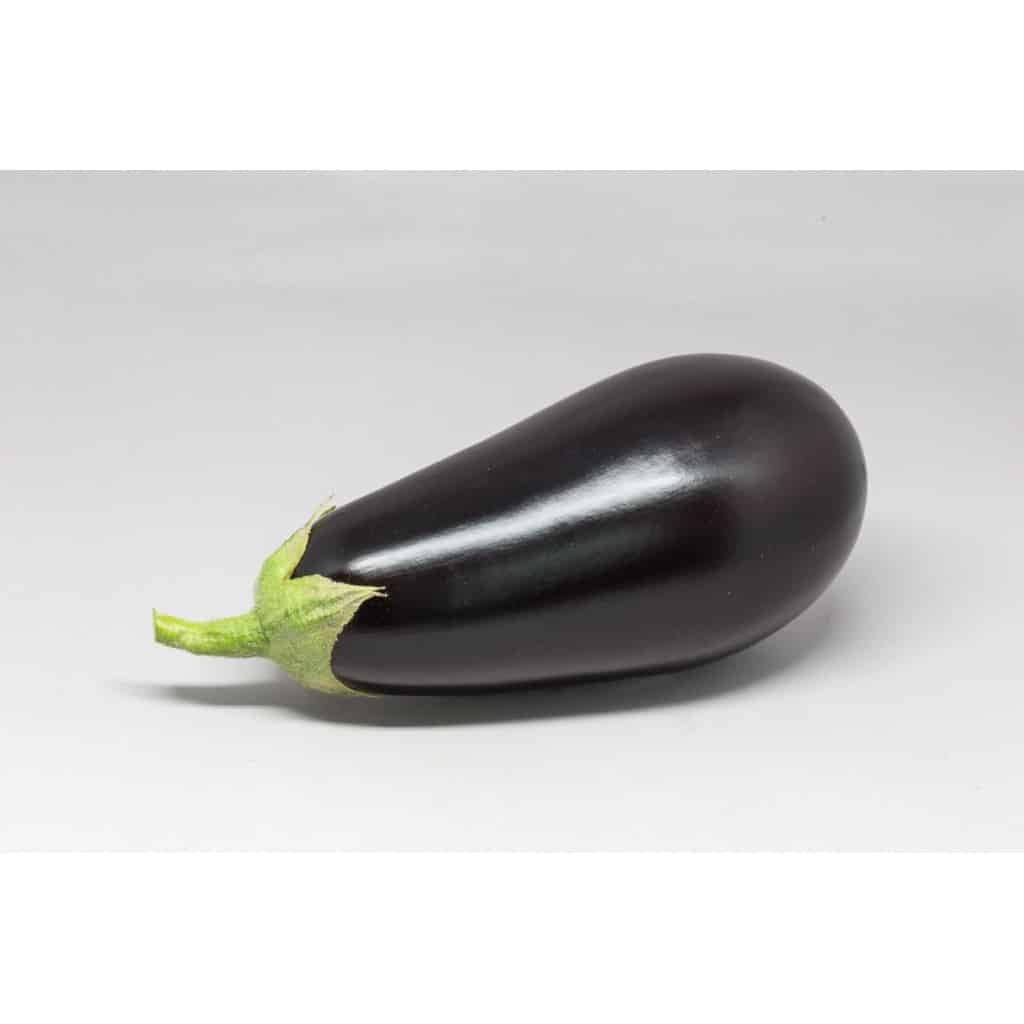 EGGPLANT Florida Market (Florida Heirloom)