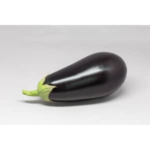EGGPLANT Florida Market (Florida Heirloom)