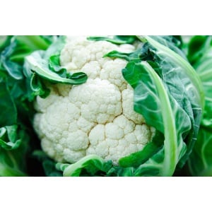 CAULIFLOWER Snowball
