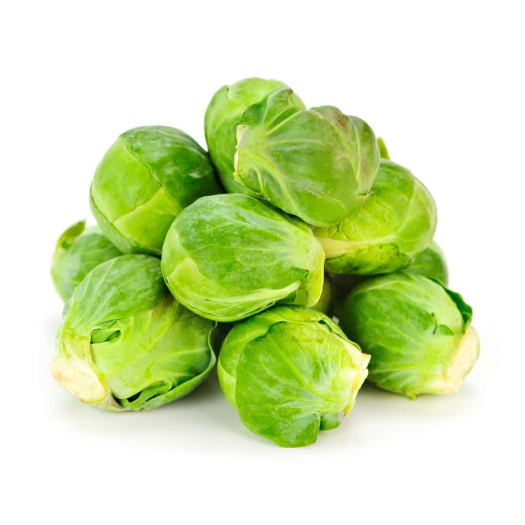 BRUSSELS SPROUTS Long Island Improved (Brassica oleracea)