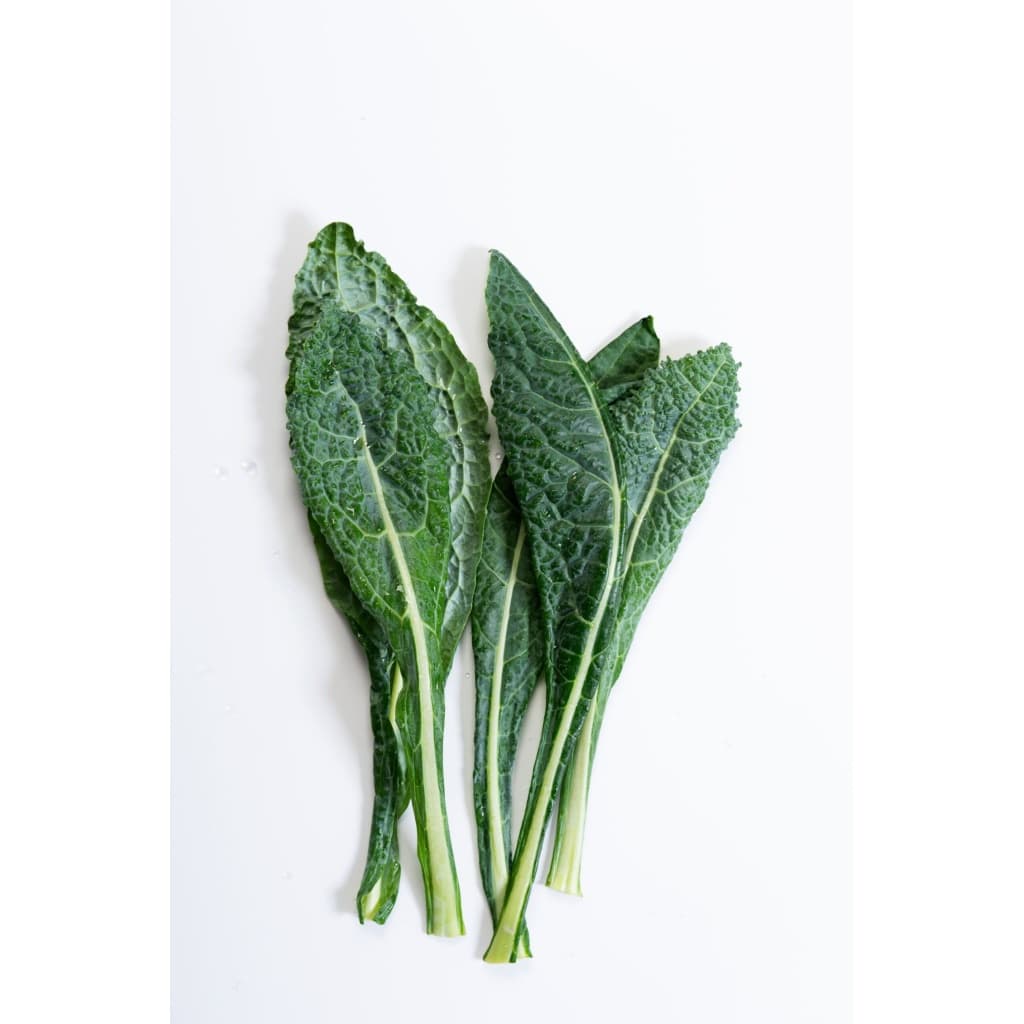 KALE Lacinato (Heirloom) (Nero Di Toscana) (Brassica oleracea)