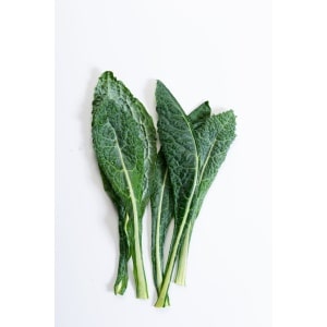 KALE Lacinato (Heirloom) (Nero Di Toscana) (Brassica oleracea)