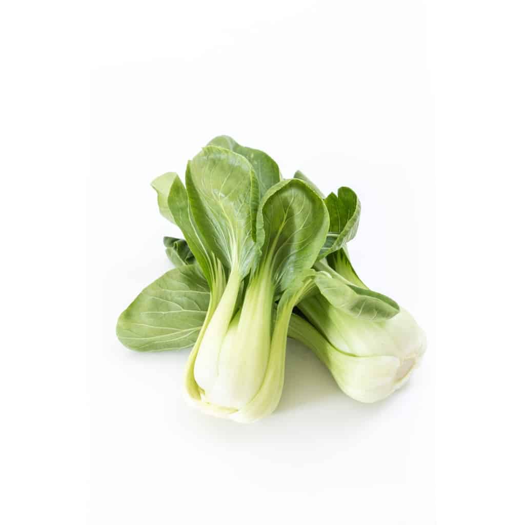 PAK CHOI White Stem Chinese (Brassica rapa)
