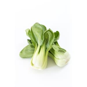 PAK CHOI White Stem Chinese (Brassica rapa)