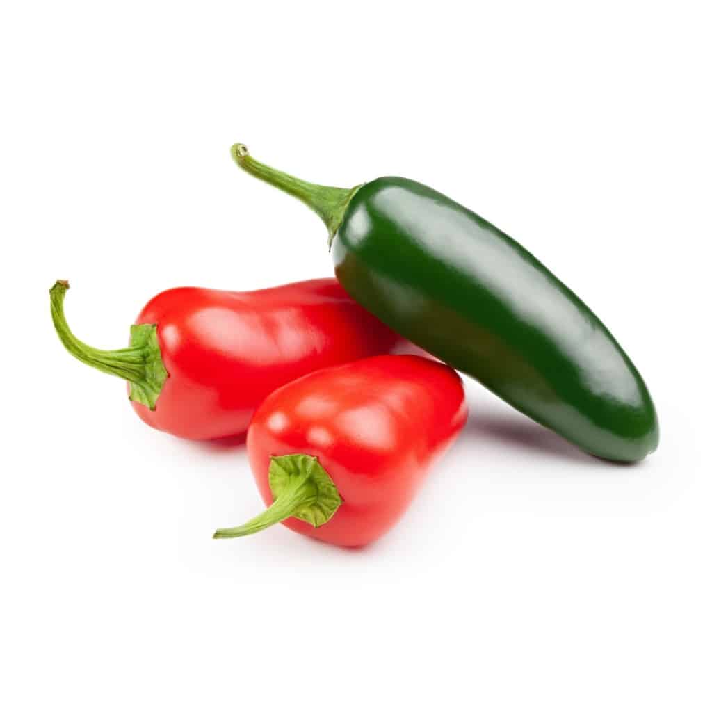 PEPPER Jalapeno M (Capsicum annuum)