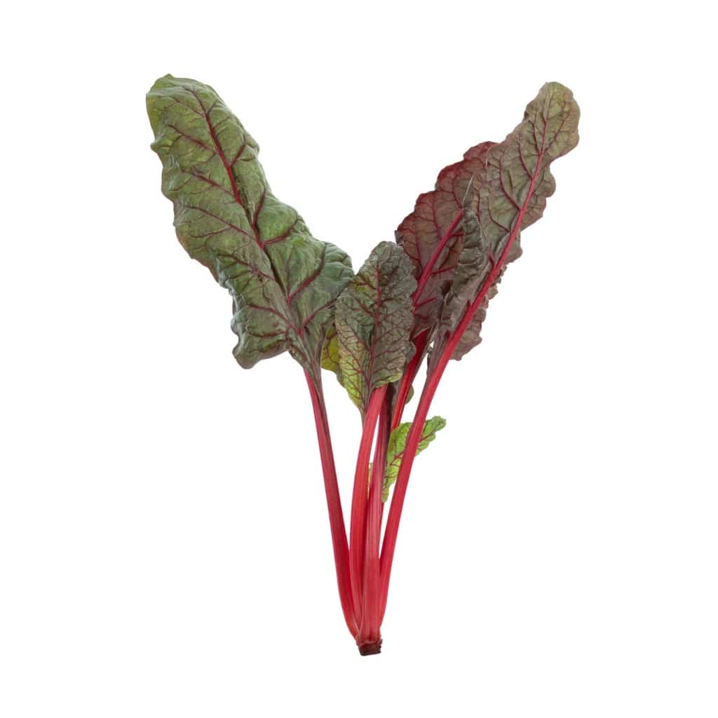 CHARD Ruby Red (Beta vulgaris subsp. Vulgaris)
