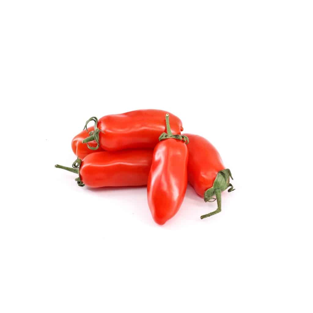 TOMATO San Marzano Tomato Seeds Indeterminate (Solanum lycopersicum)