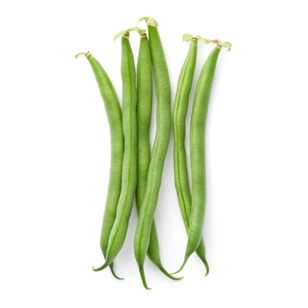 BEANS Bush Bean - Blue Lake