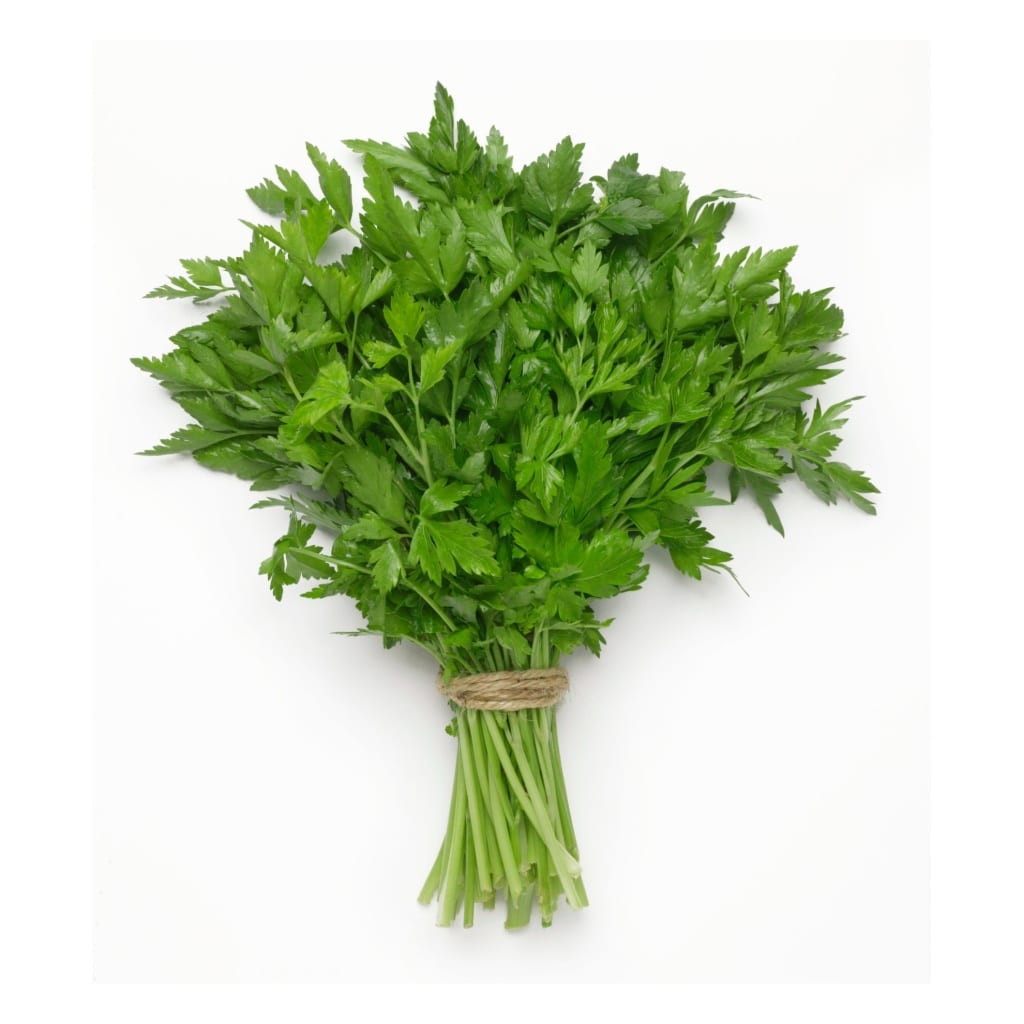 Italian Parsley