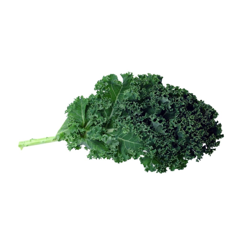 KALE Vates Blue Curled Scotch (Brassica oleracea)