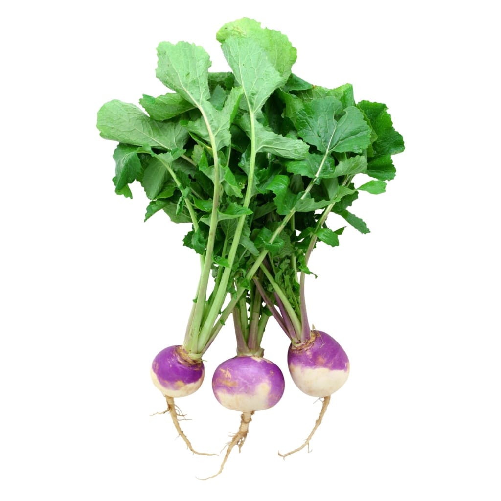 TURNIP Purple Top White Globe (Brassica rapa subsp. Rapa)