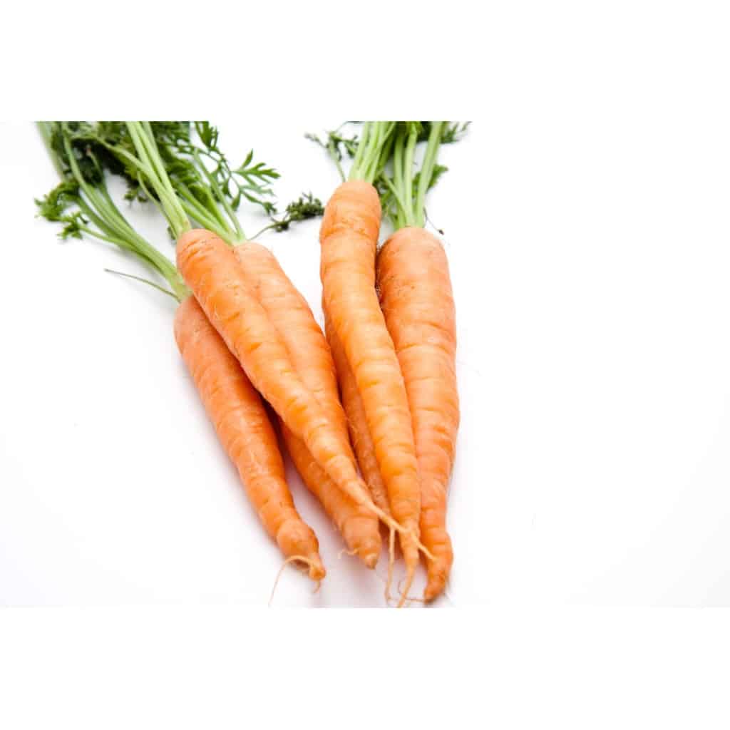 CARROT Imperator 58 Orange