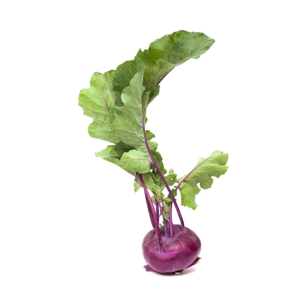 KOHLRABI Purple Vienna (Brassica oleracea)