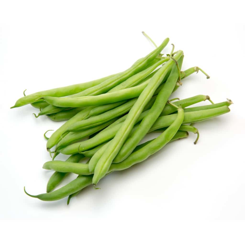 BEANS Green Bean - Tendergreen Improved