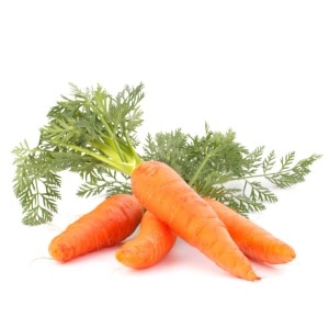 CARROT Chantenay (Daucus carota)