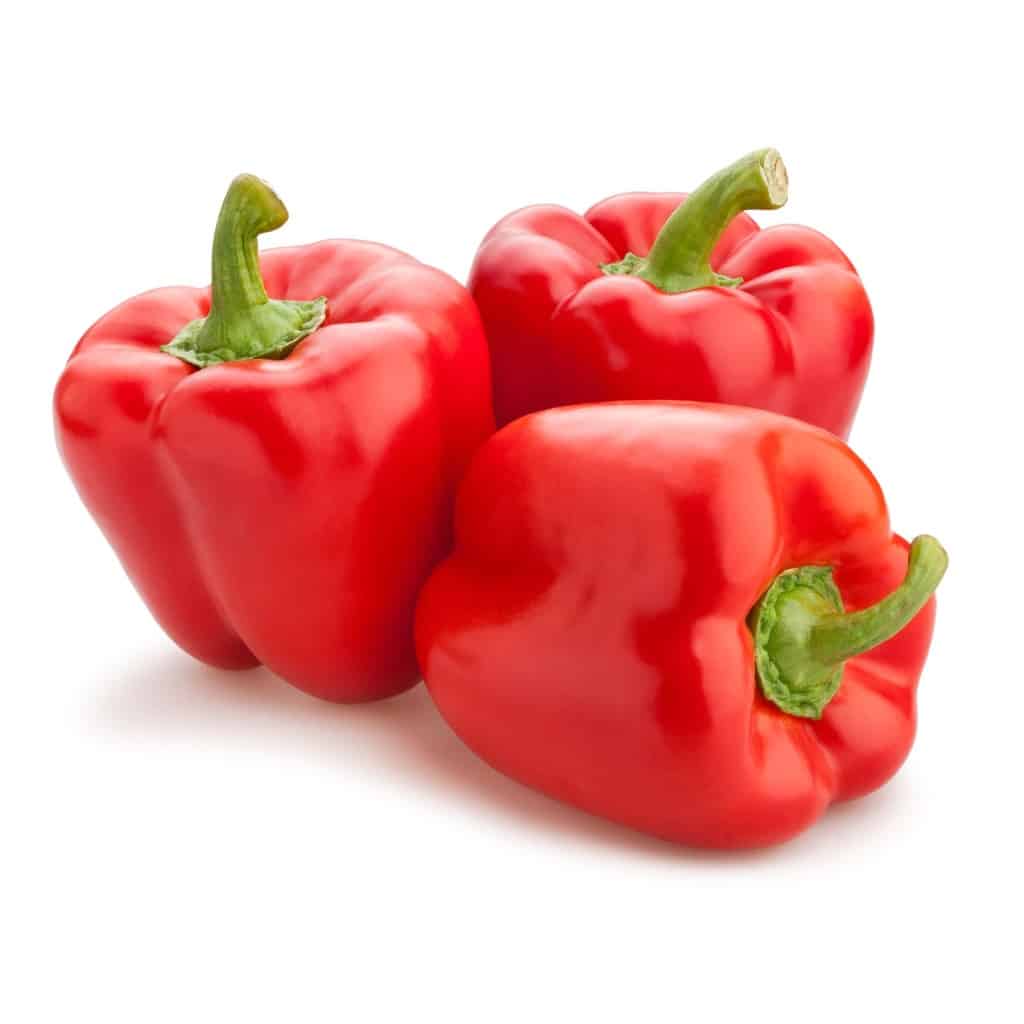 PEPPER California Wonder 300 (Capsicum annuum)