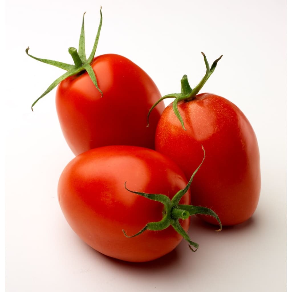TOMATO Roma Heirloom (Determinate) (Solanum lycopersicum)