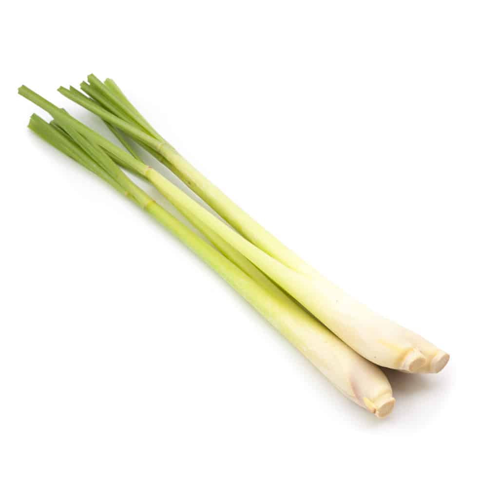Lemon Grass