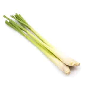 Lemon Grass