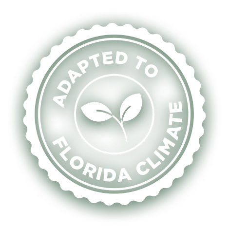 Stamp FL Climate