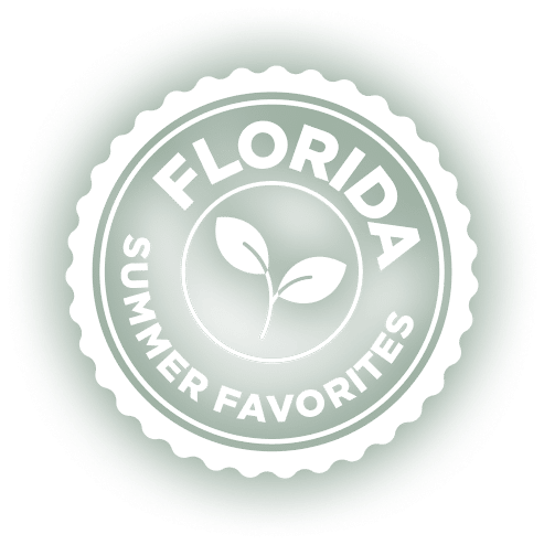 FL Summer Favorites